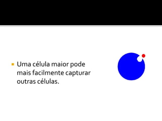    Uma célula maior pode
    mais facilmente capturar
    outras células.
 