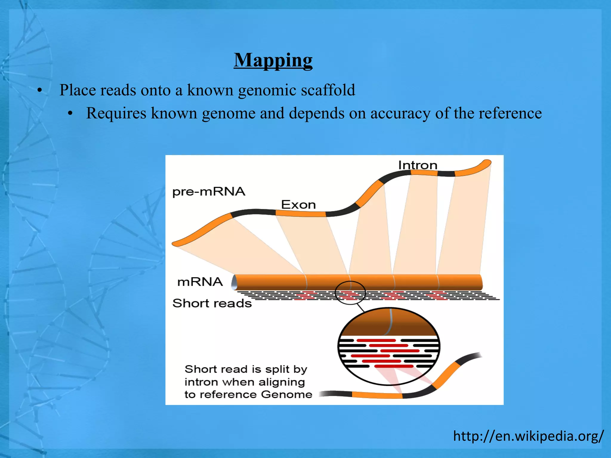 Mapping Place reads onto a known genomic scaffold Requires known genome and depends on accuracy of the reference http://en.wikipedia.org/ 