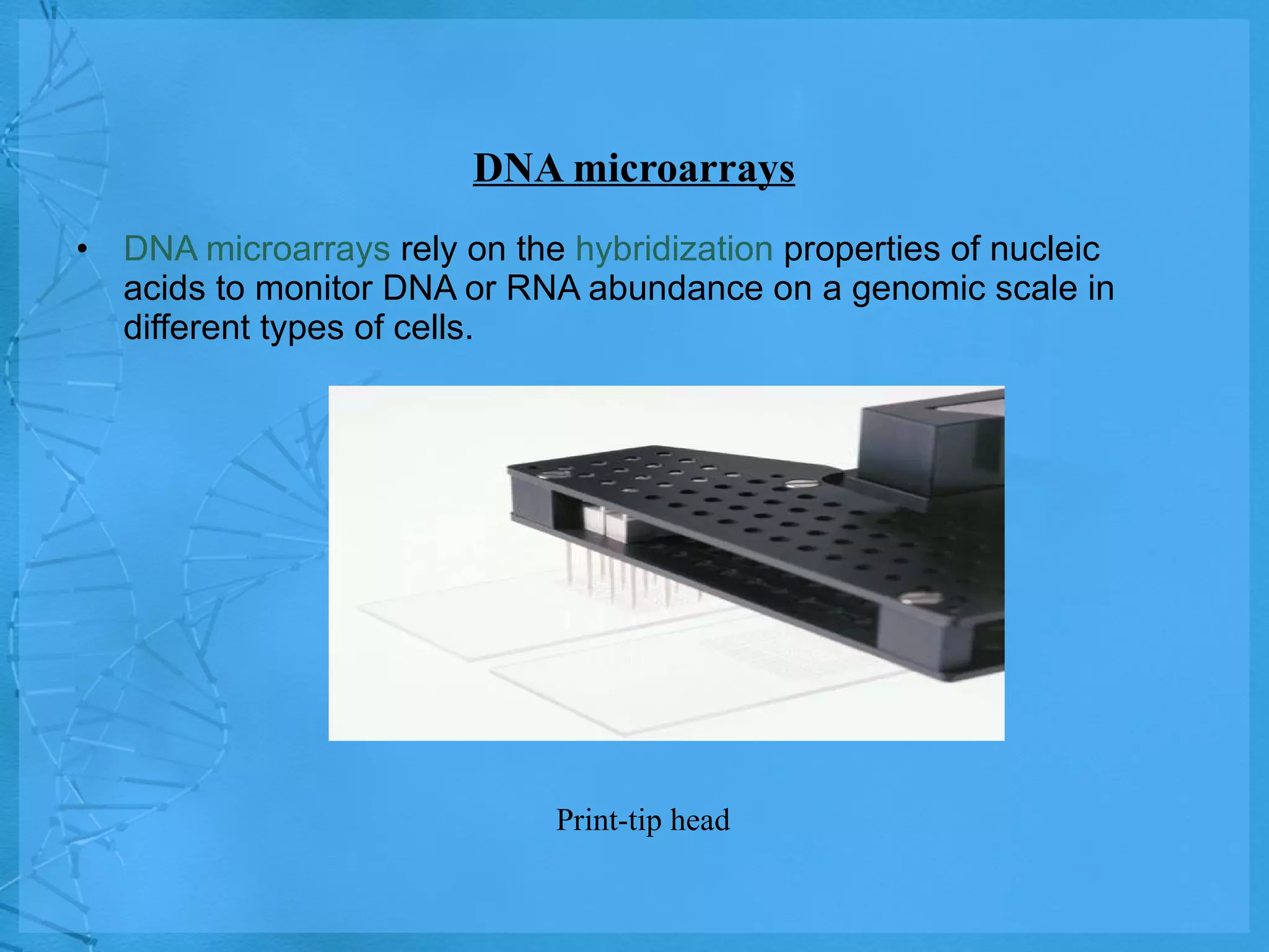 DNA microarrays DNA microarrays  rely on the  hybridization  properties of nucleic acids to monitor DNA or RNA abundance on a genomic scale in different types of cells. Print-tip head 