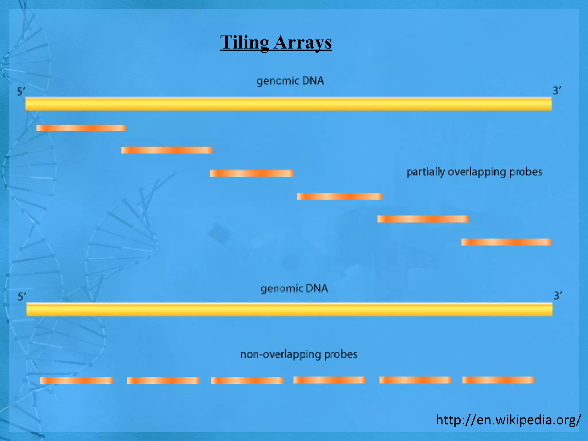 Tiling Arrays http://en.wikipedia.org/ 