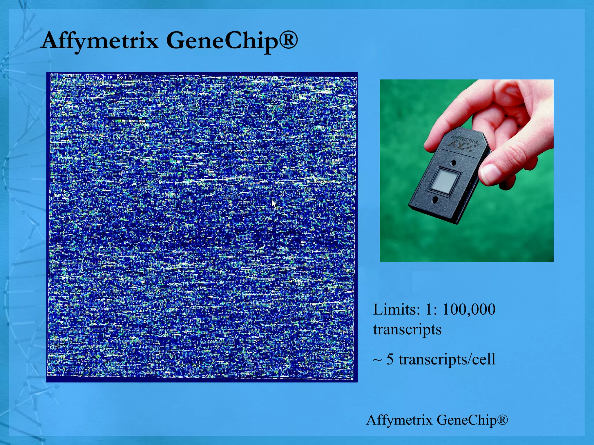 Affymetrix GeneChip ® Affymetrix GeneChip ® Limits: 1: 100,000 transcripts ~ 5 transcripts/cell 