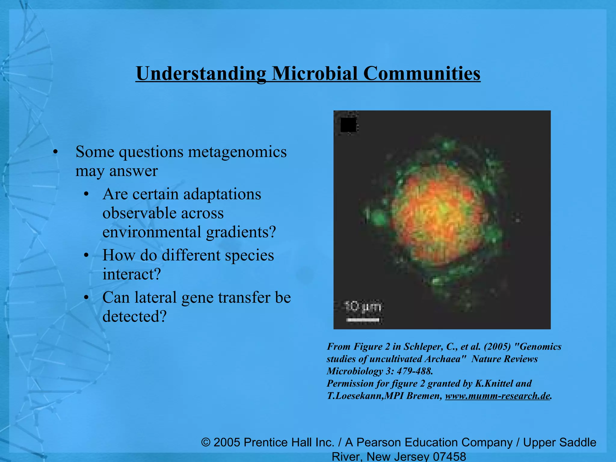 Understanding Microbial Communities Some questions metagenomics may answer Are certain adaptations observable across environmental gradients? How do different species interact? Can lateral gene transfer be detected? © 2005 Prentice Hall Inc. / A Pearson Education Company / Upper Saddle River, New Jersey 07458 From Figure 2 in Schleper, C., et al. (2005) &quot;Genomics studies of uncultivated Archaea&quot;  Nature Reviews Microbiology 3: 479-488.  Permission for figure 2 granted by K.Knittel and T.Loesekann,MPI Bremen,  www.mumm-research.de . 