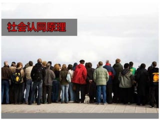 Ppt写作指南20100327 little