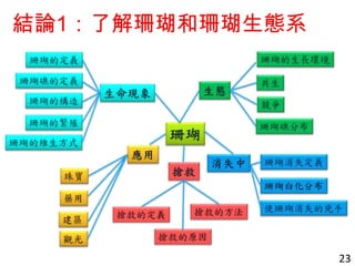 結論1：了解珊瑚和珊瑚生態系
23
 