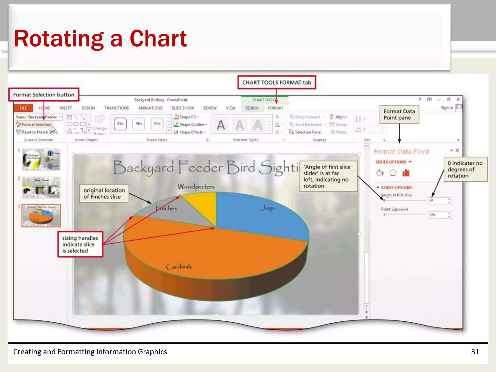 Creating and Formatting Information Graphics 31
Rotating a Chart
 