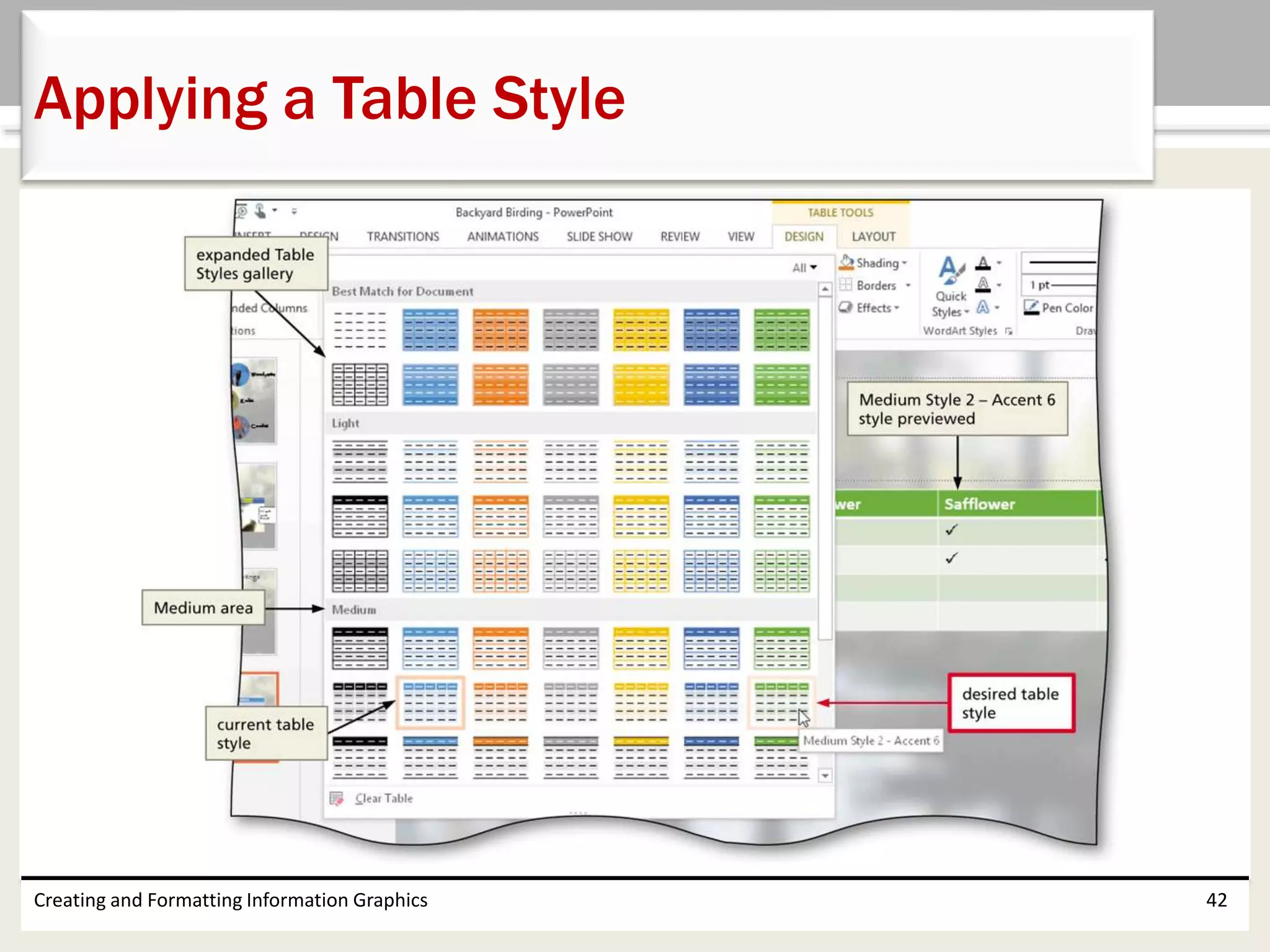 Creating and Formatting Information Graphics 42
Applying a Table Style
 