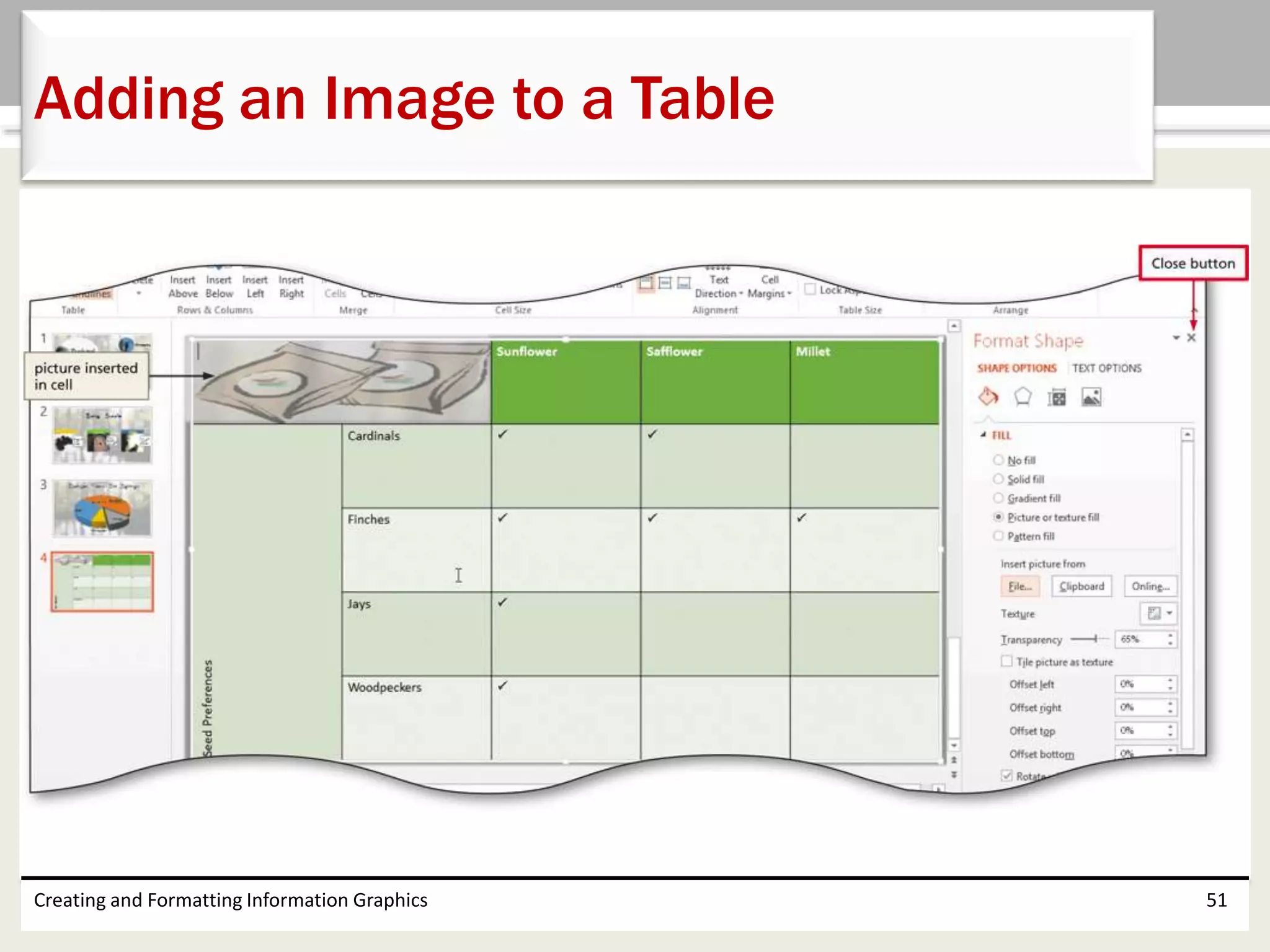 Creating and Formatting Information Graphics 51
Adding an Image to a Table
 
