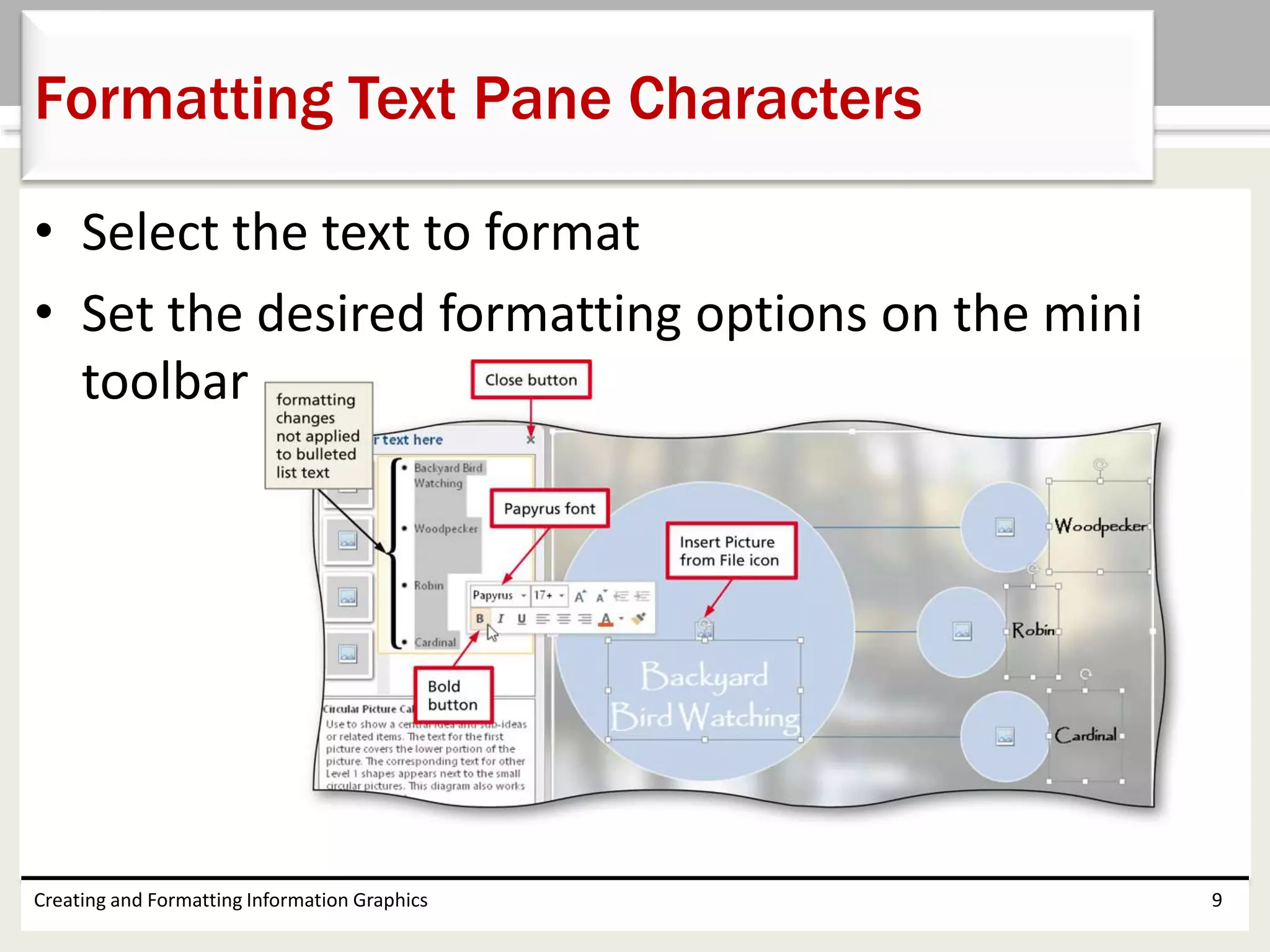 • Select the text to format
• Set the desired formatting options on the mini
toolbar
Creating and Formatting Information Graphics 9
Formatting Text Pane Characters
 