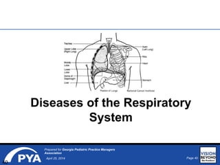 Page 40April 25, 2014
Prepared for Georgia Pediatric Practice Managers
Association
Diseases of the Respiratory
System
40
National Cancer Institute
 