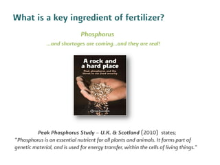 What is a key ingredient of fertilizer?
Phosphorus
...and shortages are coming...and they are real!
Peak Phosphorus Study ...