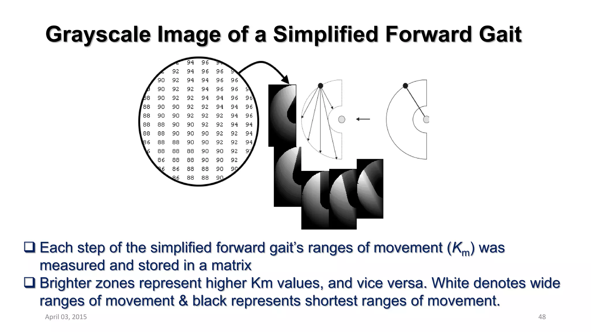 Grayscale Image of a Simplified Forward Gait
48
 Each step of the simplified forward gait’s ranges of movement (Km) was
measured and stored in a matrix
 Brighter zones represent higher Km values, and vice versa. White denotes wide
ranges of movement & black represents shortest ranges of movement.
April 03, 2015
 