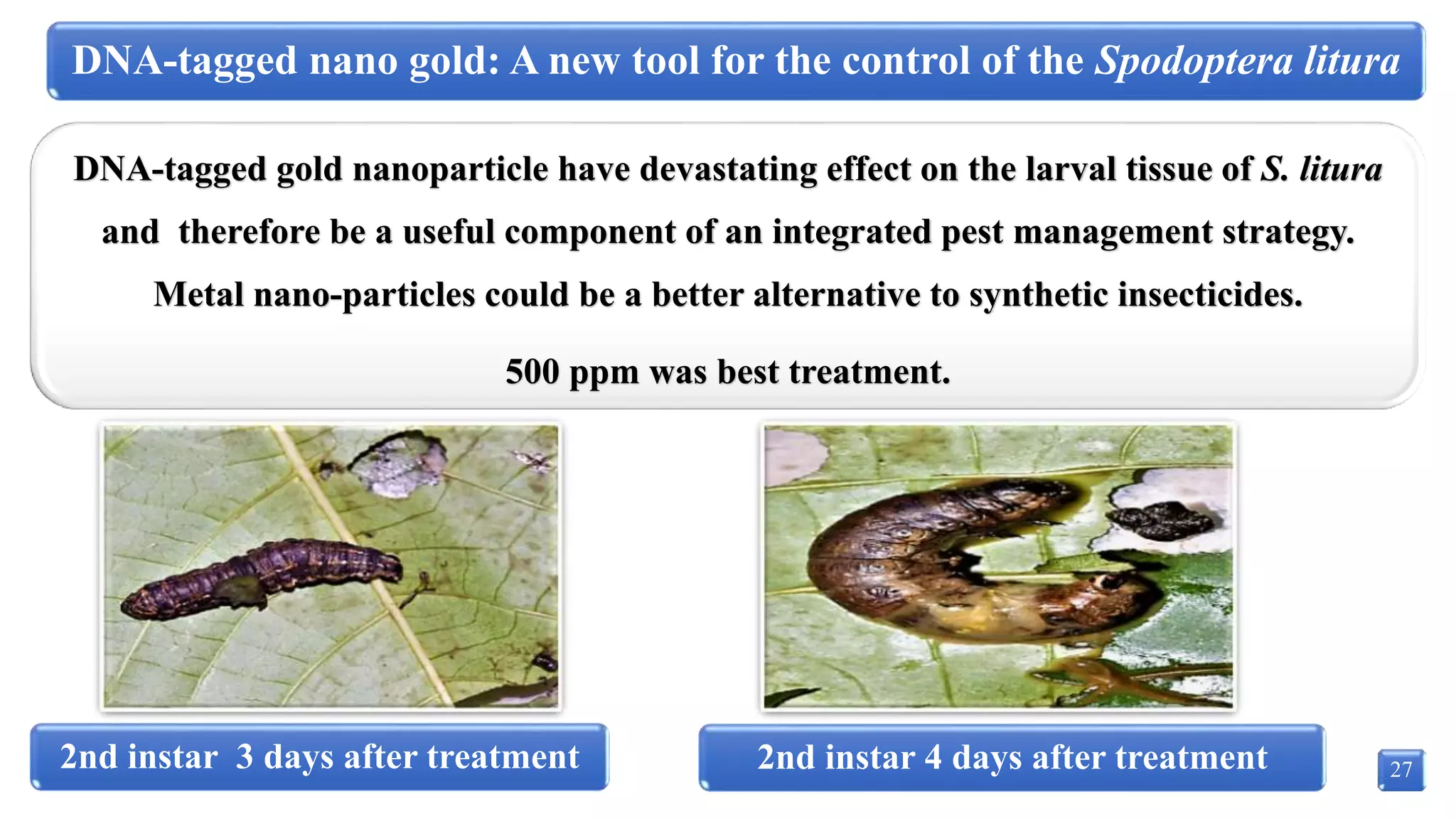 Nanotechnology and its Applications in Agriculture | PPTX