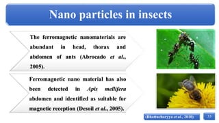 Nano Insect Nanotechnology and its Applications in Agriculture | PPTX