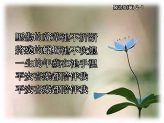 醫治我(華) 2-1
壓傷的蘆葦祂不折斷
將殘的蠟燭祂不吹熄
一生的年歲在祂手裡
平安喜樂都陪伴我
平安喜樂都陪伴我
 