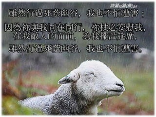 詩篇23篇(華) 3-2
雖然行過死蔭幽谷，我也不怕遭害；
因為祢與我同在同行，祢杖必安慰我，
在我敵人的面前，為我擺設筵席，
雖然行過死蔭幽谷，我也不怕遭害。
 
