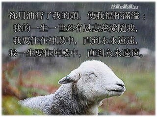 詩篇23篇(華)3-3
祢用油膏了我的頭，使我福杯滿溢；
我的一生一世必有恩惠慈愛隨我，
我要住在神殿中，直到永永遠遠，
我一生要住神殿中，直到永永遠遠。
 