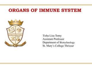 ORGANS OF IMMUNE SYSTEM
Tisha Liza Tomy
Assistant Professor
Department of Biotechnology
St. Mary’s College Thrissur
 