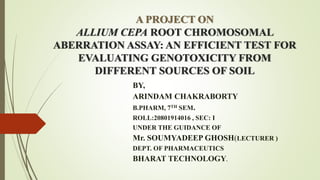A PROJECT ON
ALLIUM CEPA ROOT CHROMOSOMAL
ABERRATION ASSAY: AN EFFICIENT TEST FOR
EVALUATING GENOTOXICITY FROM
DIFFERENT SOURCES OF SOIL
BY,
ARINDAM CHAKRABORTY
B.PHARM, 7TH SEM.
ROLL:20801914016 , SEC: I
UNDER THE GUIDANCE OF
Mr. SOUMYADEEP GHOSH(LECTURER )
DEPT. OF PHARMACEUTICS
BHARAT TECHNOLOGY.
 