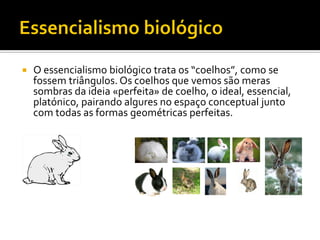    O essencialismo biológico trata os “coelhos”, como se
    fossem triângulos. Os coelhos que vemos são meras
    sombras da ideia «perfeita» de coelho, o ideal, essencial,
    platónico, pairando algures no espaço conceptual junto
    com todas as formas geométricas perfeitas.
 