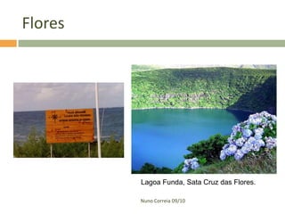 Flores




         Lagoa Funda, Sata Cruz das Flores.

         Nuno Correia 09/10
 