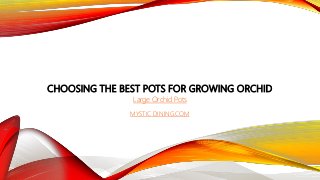 CHOOSING THE BEST POTS FOR GROWING ORCHID
Large Orchid Pots
MYSTIC DINING.COM
 