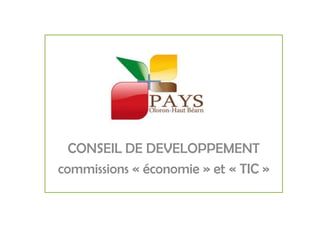 CONSEIL DE DEVELOPPEMENT commissions « économie » et « TIC » 