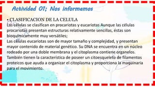 • CLASIFICACION DE LA CELULA
Las células se clasifican en procariotas y eucariotas Aunque las células
procariotas presentan estructuras relativamente sencillas, éstas son
bioquímicamente muy versátiles;
Las células eucariotas son de mayor tamaño y complejidad, y presentan
mayor contenido de material genético. Su DNA se encuentra en un núcleo
rodeado por una doble membrana y el citoplasma contiene organelos.
También tienen la característica de poseer un citoesqueleto de filamentos
proteicos que ayuda a organizar el citoplasma y proporciona la maquinaria
para el movimiento.
 