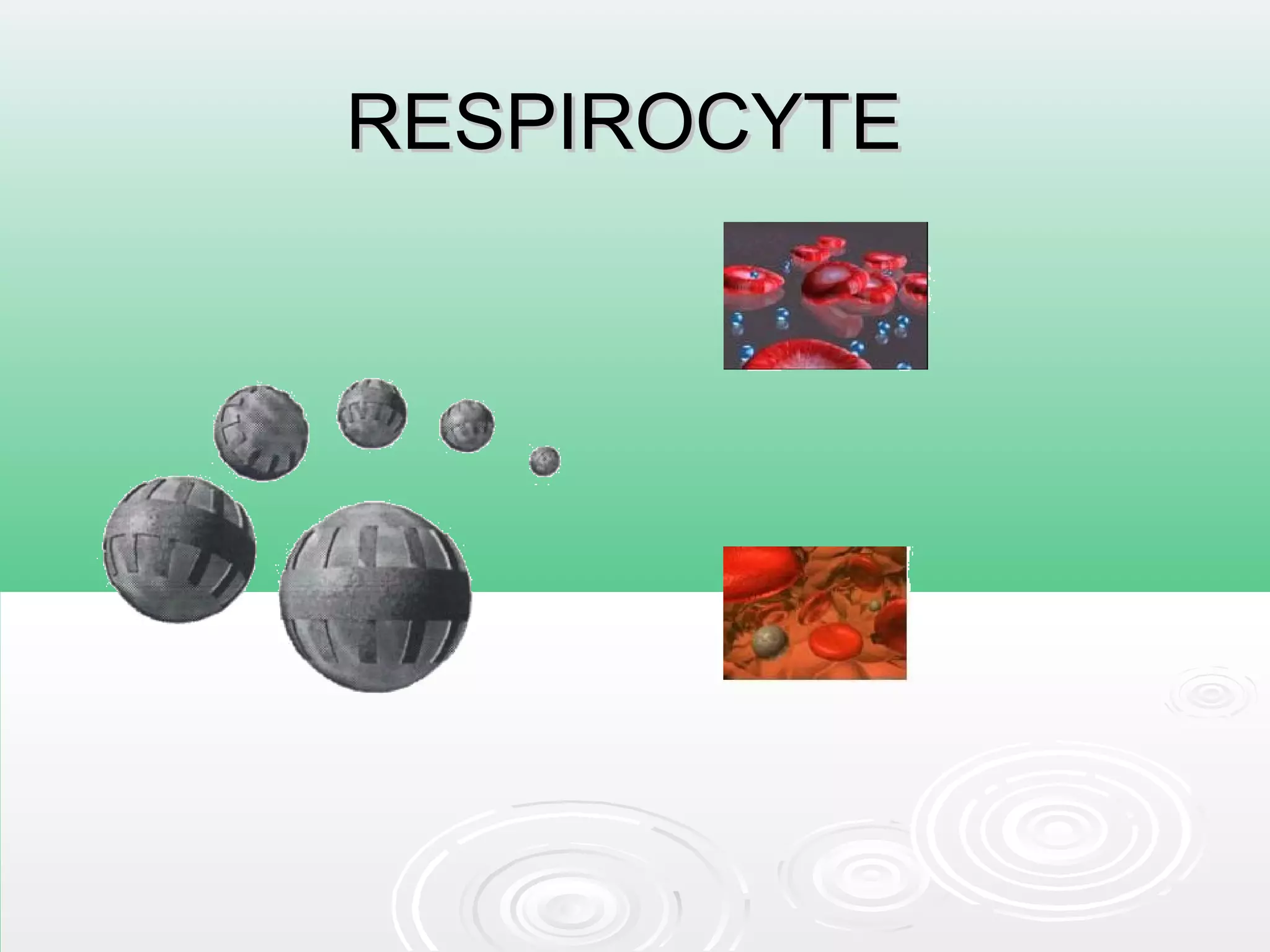 RESPIROCYTERESPIROCYTE
 