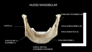 Fracturas de Angulo mandíbulas asociado a la extracción de tercer molar ...