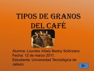 Tipos de granos del café Alumna: Lourdes Xitlaly Bedoy Solórzano Fecha: 12 de marzo 2011. Estudiante: Universidad Tecnológica de Jalisco 