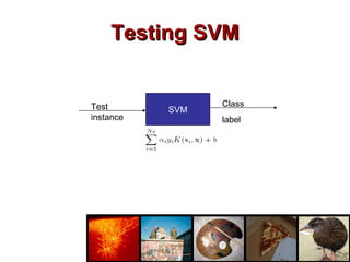 Testing SVM SVM Test instance Class  label 