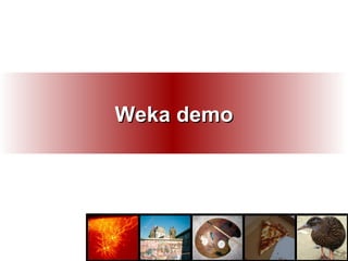 Weka demo 