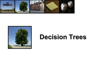 Decision Trees 