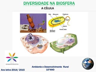 DIVERSIDADE NA BIOSFERA
Ano letivo 2014/ 2015
Ambiente e Desenvolvimento Rural
10ºANO
A CÉLULA
 