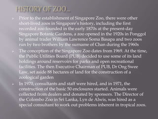  Prior to the establishment of Singapore Zoo, there were other
short-lived zoos in Singapore’s history, including the first
recorded zoo founded in the early 1870s at the present-day
Singapore Botanic Gardens, a zoo opened in the 1920s in Ponggol
by animal trader William Lawrence Soma Basapa and two zoos
run by two brothers by the surname of Chan during the 1960s
 The conception of the Singapore Zoo dates from 1969. At the time,
the Public Utilities Board (PUB) decided to use some of its land
holdings around reservoirs for parks and open recreational
facilities. The then Executive Chairman of PUB, Dr Ong Swee
Law, set aside 88 hectares of land for the construction of a
zoological garden
 In 1970, consultants and staff were hired, and in 1971, the
construction of the basic 50 enclosures started. Animals were
collected from dealers and donated by sponsors. The Director of
the Colombo Zoo in Sri Lanka, Lyn de Alwis, was hired as a
special consultant to work out problems inherent in tropical zoos.
 