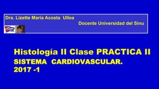 SISTEMA CARDIOVASCULAR.
2017 -1
Histología II Clase PRACTICA II
Dra. Lizette María Acosta Ulloa
Docente Universidad del Sinu
 