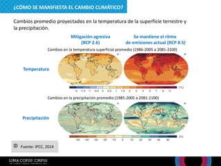 Cambios promedio proyectados en la temperatura de la superficie terrestre y
la precipitación.
Fuente: IPCC, 2014
Precipitación
Temperatura
Mitigación agresiva
(RCP 2.6)
Cambios en la temperatura superficial promedio (1986-2005 a 2081-2100)
Cambios en la precipitación promedio (1985-2005 a 2081-2100)
Se mantiene el ritmo
de emisiones actual (RCP 8.5)
¿CÓMO SE MANIFIESTA EL CAMBIO CLIMÁTICO?
 