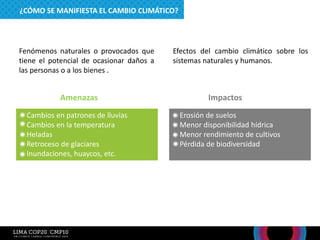Amenazas Impactos
Cambios en patrones de lluvias
Cambios en la temperatura
Heladas
Retroceso de glaciares
Inundaciones, huaycos, etc.
Erosión de suelos
Menor disponibilidad hídrica
Menor rendimiento de cultivos
Pérdida de biodiversidad
Fenómenos naturales o provocados que
tiene el potencial de ocasionar daños a
las personas o a los bienes .
Efectos del cambio climático sobre los
sistemas naturales y humanos.
¿CÓMO SE MANIFIESTA EL CAMBIO CLIMÁTICO?
 