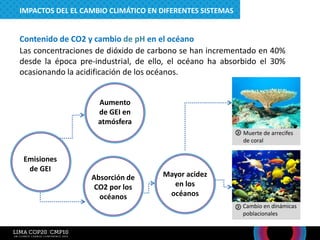 Aumento
de GEI en
atmósfera
Emisiones
de GEI
Mayor acidez
en los
océanos
Las concentraciones de dióxido de carbono se han incrementado en 40%
desde la época pre-industrial, de ello, el océano ha absorbido el 30%
ocasionando la acidificación de los océanos.
Contenido de CO2 y cambio de pH en el océano
Muerte de arrecifes
de coral
Cambio en dinámicas
poblacionales
Absorción de
CO2 por los
océanos
IMPACTOS DEL EL CAMBIO CLIMÁTICO EN DIFERENTES SISTEMAS
 