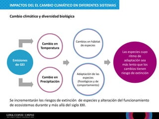 Se incrementarán los riesgos de extinción de especies y alteración del funcionamiento
de ecosistemas durante y más allá del siglo XXI.
Cambio climático y diversidad biológica
Emisiones
de GEI
Cambio en
Temperatura
Cambio en
Precipitación
Cambios en hábitat
de especies
Adaptación de las
especies
(fisiológicos y de
comportamiento)
Las especies cuyo
ritmo de
adaptación sea
más lento que los
cambios tienen
riesgo de extinción
IMPACTOS DEL EL CAMBIO CLIMÁTICO EN DIFERENTES SISTEMAS
 