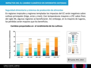 Seguridad alimentaria y sistemas de producción de alimentos
En regiones tropicales y regiones templadas los impactos del CC serán negativos sobre
cultivos principales (trigo, arroz y maíz). Con temperaturas mayores a 2ºC sobre fines
del siglo XX, algunas regiones se beneficiarán. Sin embargo, en la mayoría de lugares,
las pérdidas serán mayores que los beneficios.
Cambios proyectados en el rendimiento de los cultivos
Porcentaje
de
proyecciones
de
rendimientos
Color de leyenda
Rango de cambios en el
rendimiento
Incremento
en
rendimiento
Disminución
en
rendimiento
Fuente: IPCC, 2014
IMPACTOS DEL EL CAMBIO CLIMÁTICO EN DIFERENTES SISTEMAS
 