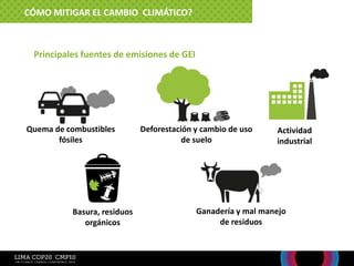 CÓMO MITIGAR EL CAMBIO CLIMÁTICO?
Actividad
industrial
Principales fuentes de emisiones de GEI
Deforestación y cambio de uso
de suelo
Quema de combustibles
fósiles
Ganadería y mal manejo
de residuos
Basura, residuos
orgánicos
 