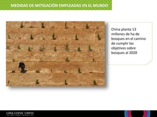 China planta 13
millones de ha de
bosques en el camino
de cumplir los
objetivos sobre
bosques al 2020
MEDIDAS DE MITIGACIÓN EMPLEADAS EN EL MUNDO
 