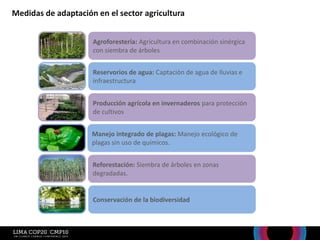 Medidas de adaptación en el sector agricultura
Agroforestería: Agricultura en combinación sinérgica
con siembra de árboles
Reforestación: Siembra de árboles en zonas
degradadas.
Manejo integrado de plagas: Manejo ecológico de
plagas sin uso de químicos.
Conservación de la biodiversidad
Producción agrícola en invernaderos para protección
de cultivos
Reservorios de agua: Captación de agua de lluvias e
infraestructura
 