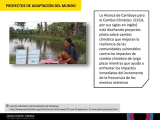 La Alianza de Camboya para
el Cambio Climático (CCCA,
por sus siglas en inglés)
está diseñando proyectos
piloto sobre cambio
climático que mejoran la
resiliencia de las
comunidades vulnerables
contra los impactos de
cambio climático de largo
plazo mientras que ayuda a
enfrentar los impactos
inmediatos del incremento
de la frecuencia de los
eventos extremos
PROYECTOS DE ADAPTACIÓN DEL MUNDO
Fuente: Ministerio del Ambiente de Camboya.
http://www.camclimate.org.kh/en/trust-fund-news/73-ccca-tf-approves-11-new-pilot-projects.html
 