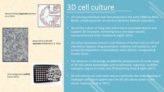 The potential of using 3D in vitro models for drug efficiency testing ...