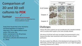 The potential of using 3D in vitro models for drug efficiency testing ...