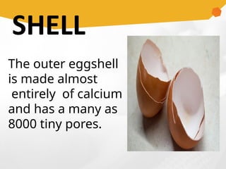 PPT Lesson 2 tle 10 Egg Structure.pptx