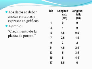 Los datos se deben
anotar en tablas y
expresar en gráficos.
Ejemplo:
“Crecimiento de la
planta de poroto “
Día Longitud
raíz
(cm)
Longitud
tallo
(cm)
1 0 0
3 1 0
5 1,5 0,5
7 2,5 1,5
9 3 2
11 4,5 2,5
13 5 3,5
15 5 4,5
17 5,5 6
 