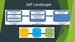 SAP Landscape
 